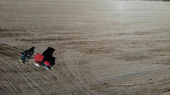 Buğday Tohumlarının 8 Aylık Serüveni Başladı