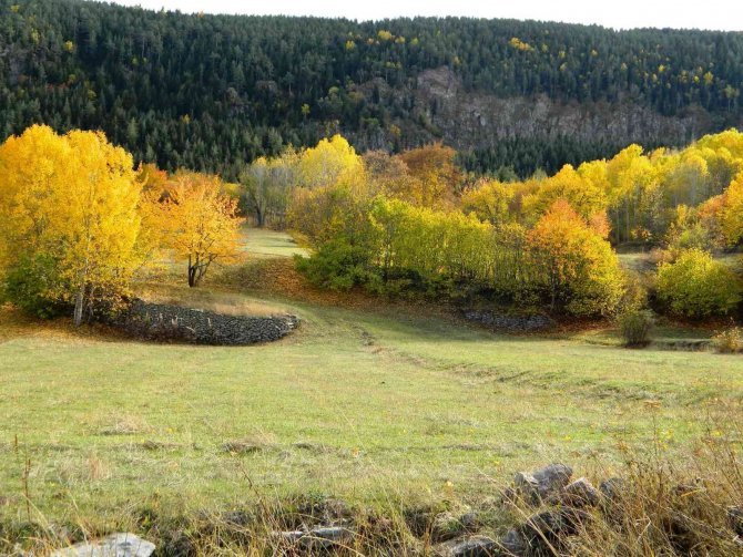 Posof’ta Sonbaharın Muhteşem Görüntüsü Büyülüyor