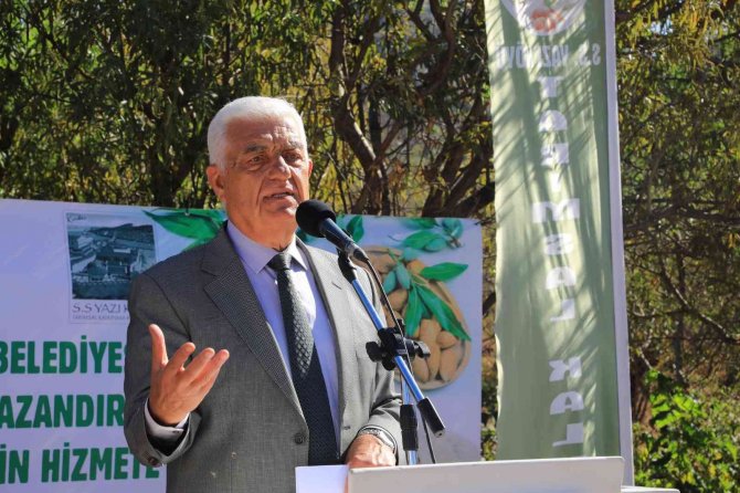 Datça Bademini Ve Zeytinciliği Yaygınlaştırılacak