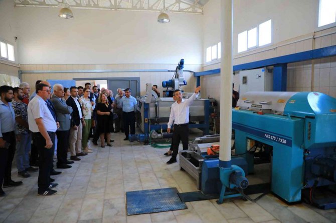 Datça Bademini Ve Zeytinciliği Yaygınlaştırılacak