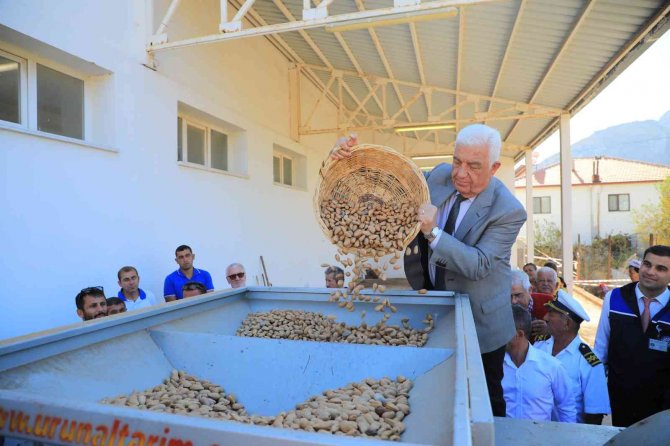 Datça Bademini Ve Zeytinciliği Yaygınlaştırılacak