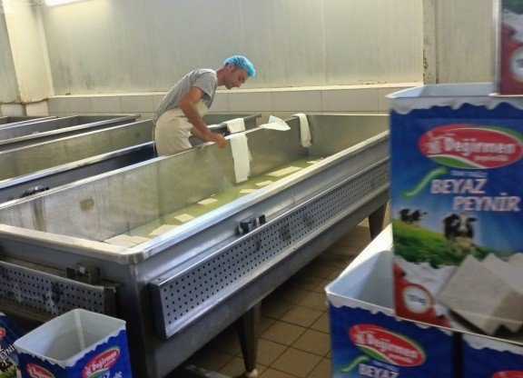 Öğrenciler Süt Ürünleri Tesislerini Gezdi