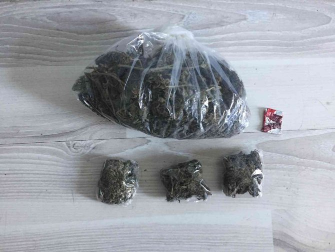 Ordu’da Zehir Tacirlerine Operasyon: Bir Şüpheli Tutuklandı