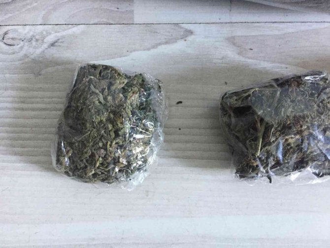 Ordu’da Zehir Tacirlerine Operasyon: Bir Şüpheli Tutuklandı