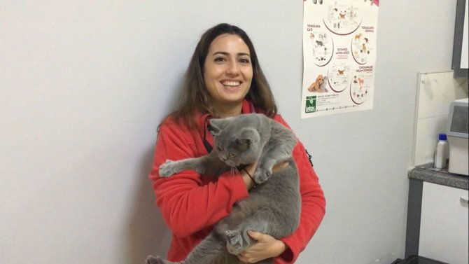 Evcil Hayvanlara Getirilen Çip Zorunluluğu Uygulanmaya Başlandı