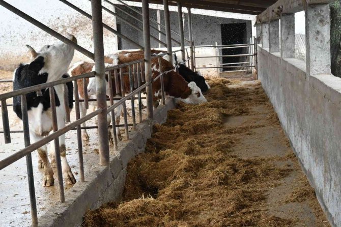 Demir: “Çiftçilerimizin Her Konuda Yanındayız