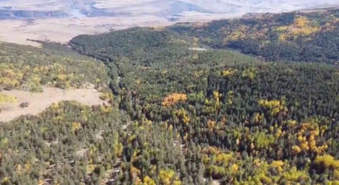 Sarıkamış Ormanlarındaki Renk Cümbüşü Havadan Görüntülendi