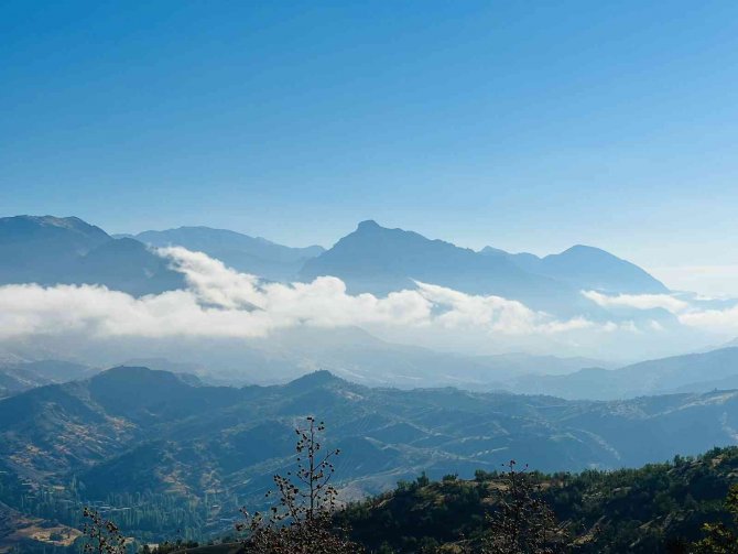 Yağmurdan Sonra Oluşan Sis Kartpostallık Manzara Oluşturdu