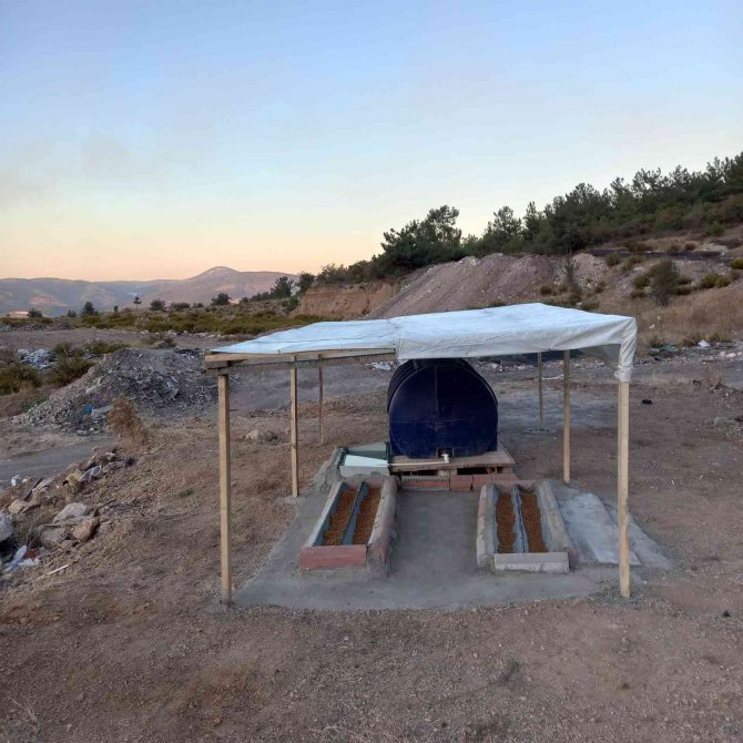 Soma Belediyesi’nden Doğal Yaşama Yemlik Ve Suluk