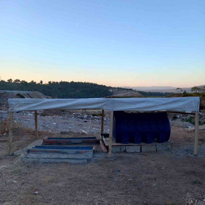 Soma Belediyesi’nden Doğal Yaşama Yemlik Ve Suluk