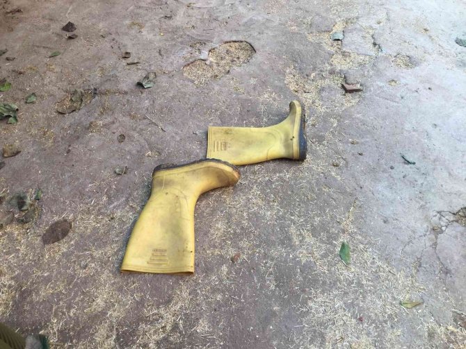 Ahıra Süt Sağmaya Giden Kız Akıma Kapılarak Öldü