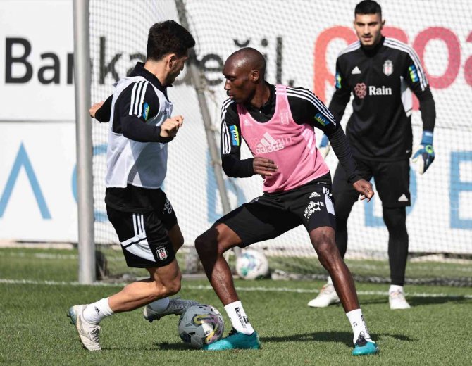 Beşiktaş, Serdar Topraktepe Yönetiminde Çalıştı
