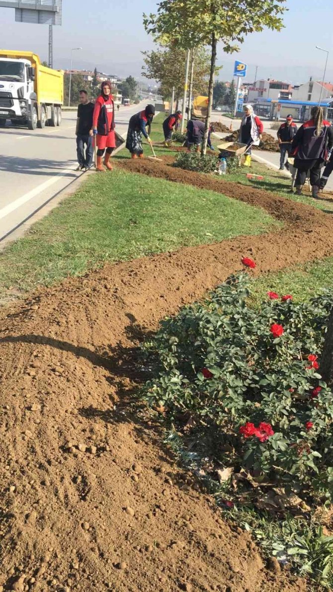 Düzce’yi Kadınlar Güzelleştiriyor