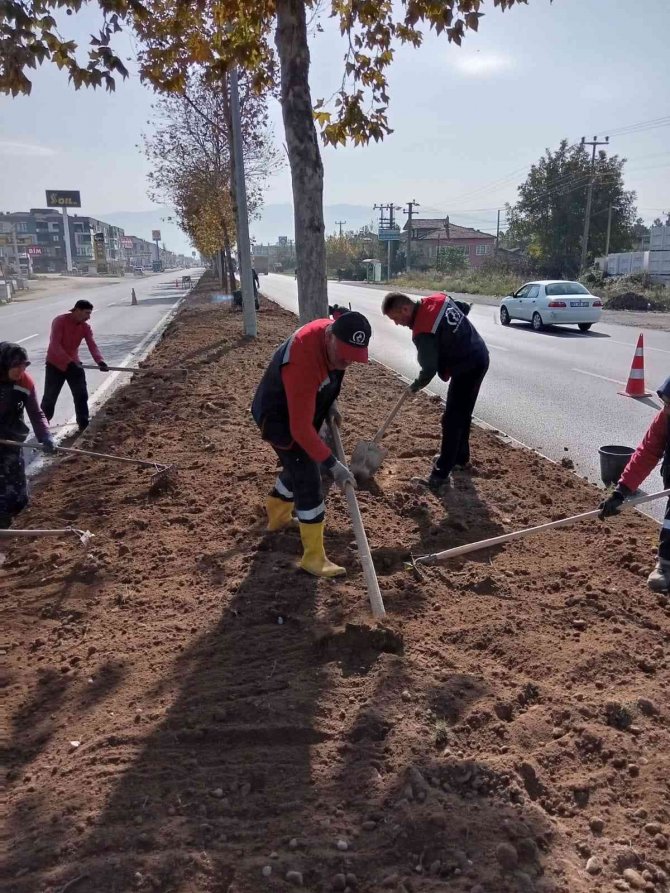 Düzce’yi Kadınlar Güzelleştiriyor