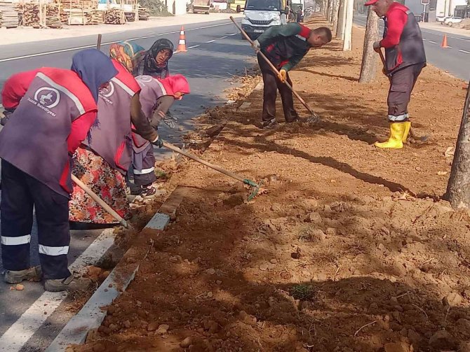 Düzce’yi Kadınlar Güzelleştiriyor