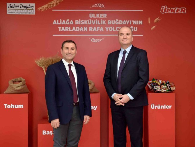 Aliağa Bisküvilik Buğdayı Ülker Ürünleriyle Buluştu