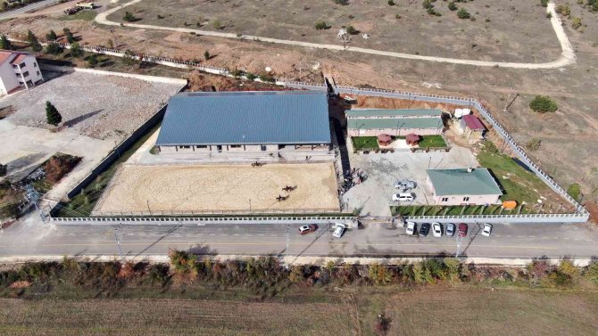 Kastamonu’daki Atlı Terapi Merkezi, Kış Mevsiminde Vatandaşlara Ata Binmenin Heyecanını Yaşatacak