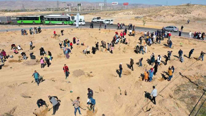 Büyükşehir’den Şehitler Anısına 251 Fidan