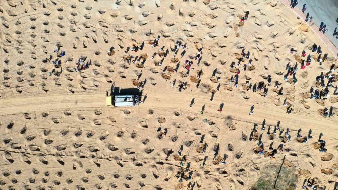 Büyükşehir’den Şehitler Anısına 251 Fidan