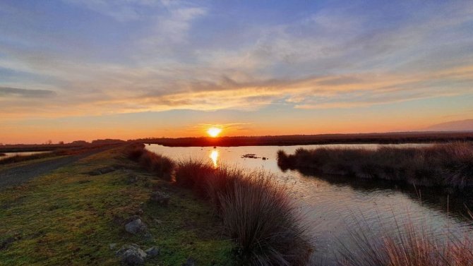 Kızılırmak Deltası’nda En İyi Kuş Gözlem Zamanı