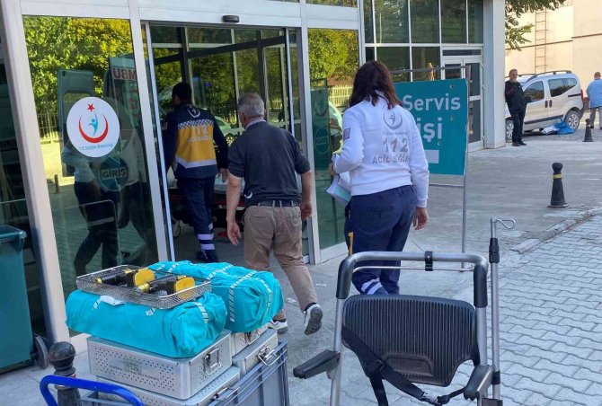 Sahiplenmek İstediği Çoban Köpeği Kolundan Isırdı