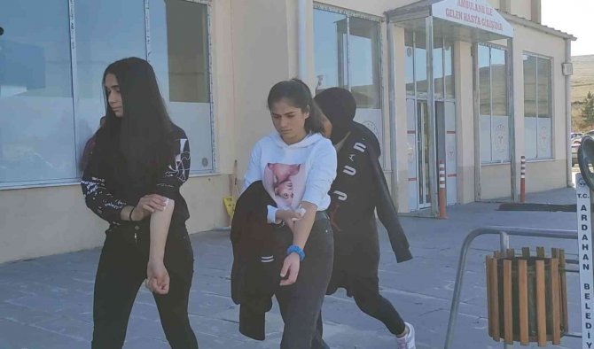 Ardahan’da Gıda Zehirlenmesi: 25 Öğrenci Hastaneye Kaldırıldı
