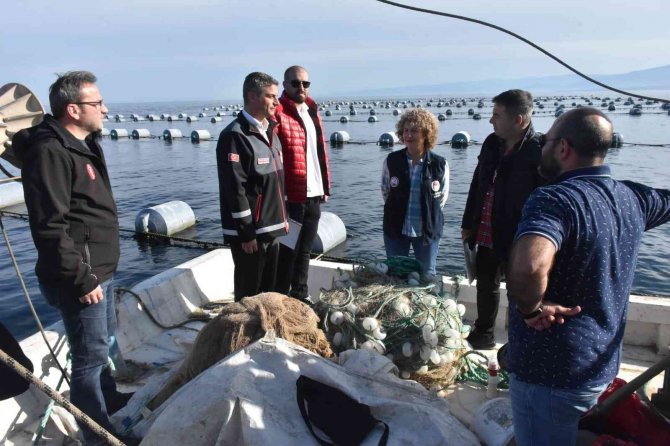 Karadeniz’de İlk Defa Midye Yetiştiriciliği Sinop’ta Başladı