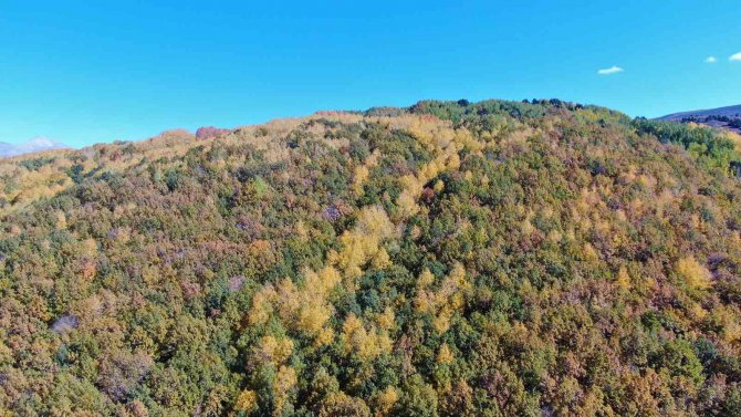 Sonbahar Renklerine Bürünen Tunceli’de Doğa, Görsel Şölen Sunuyor