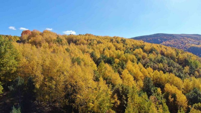 Sonbahar Renklerine Bürünen Tunceli’de Doğa, Görsel Şölen Sunuyor