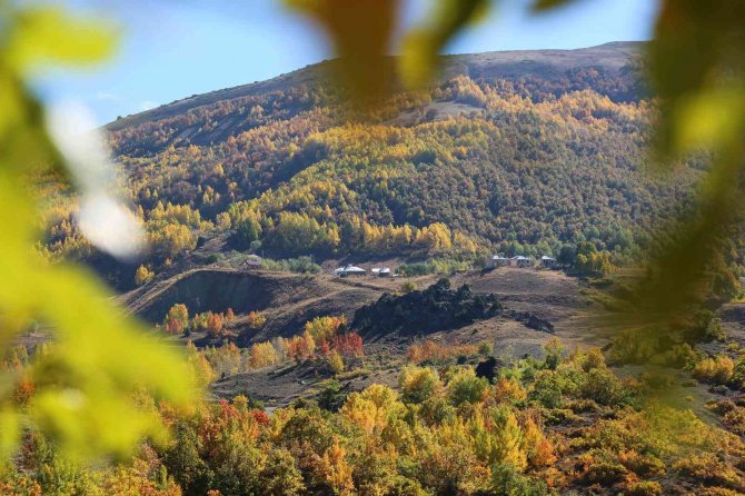 Sonbahar Renklerine Bürünen Tunceli’de Doğa, Görsel Şölen Sunuyor