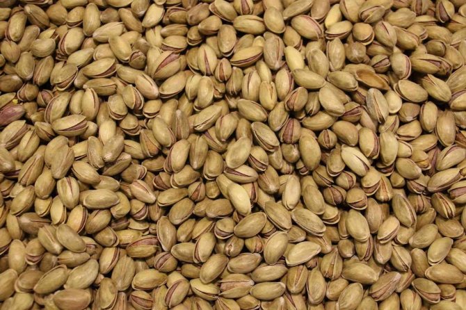 Baklava Yeme Yarışması İlginç Görüntülere Sahne Oldu