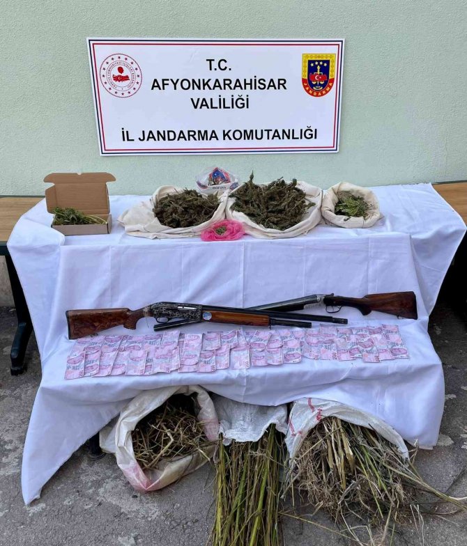 Ormanı Uyuşturucu Tarlasına Çevirmişler