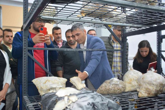 İ̇htisaslaşma Alanında Tecrübe Ve İş Birliği