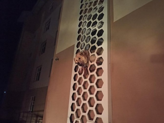 Kafası Demir Korkuluklara Sıkışan Köpeği İtfaiye Kurtardı