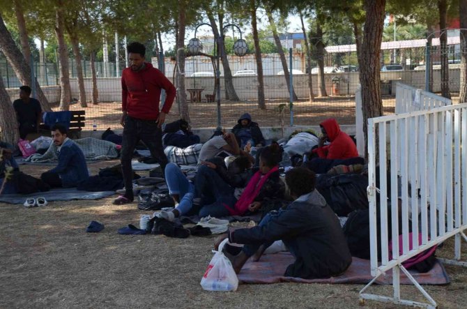 Didim’de 53 Düzensiz Göçmen Yakalandı