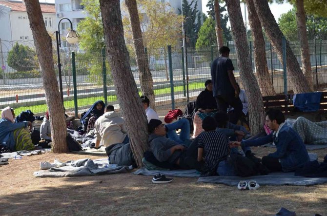 Didim’de 53 Düzensiz Göçmen Yakalandı