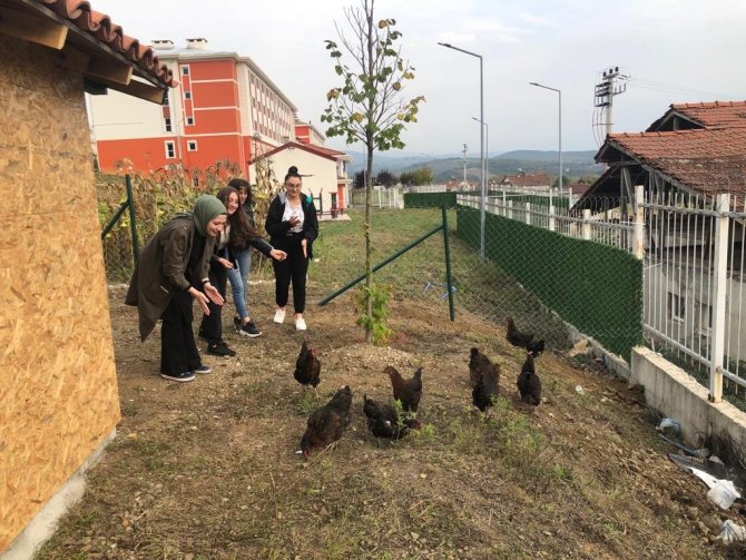 Öğrencilere Köy Ortamı Oluşturuldu