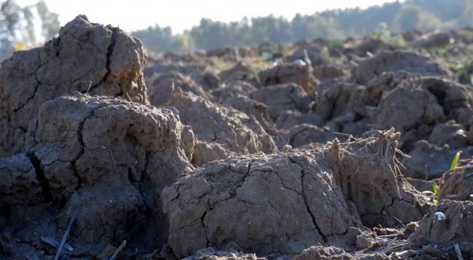 Korkutan Rapor Korkutan Görüntü: Kuraklık Toprağı Taş Gibi Yaptı, Çiftçi Ekim Yapamıyor