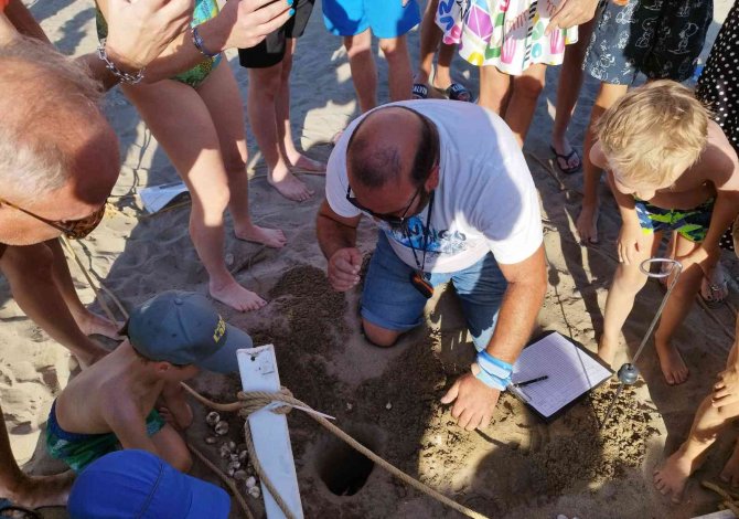 Belek’te Yaklaşık Bin 600 Deniz Kaplumbağası Yuvasından Çıkan 60 Binin Üzerinde Yavru Denizle Buluştu