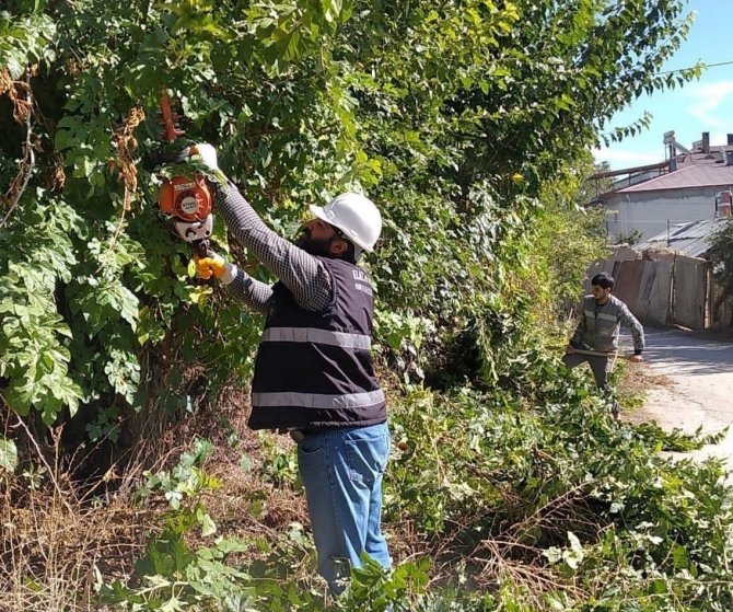 Elazığ Belediyesinden Ağaç Budama Çalışması