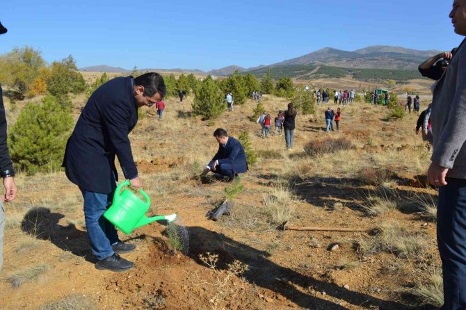 Hüyük’te Hatıra Ormanına İlçe Protokolü Fidan Dikti