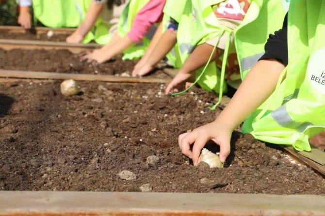 Öğrenciler Orman Okulu’nda Hem Eğleniyor Hem Keşfediyor