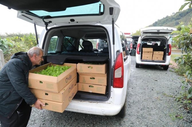 Ordu’da Üreticilere 350 Bin Fide Dağıtıldı