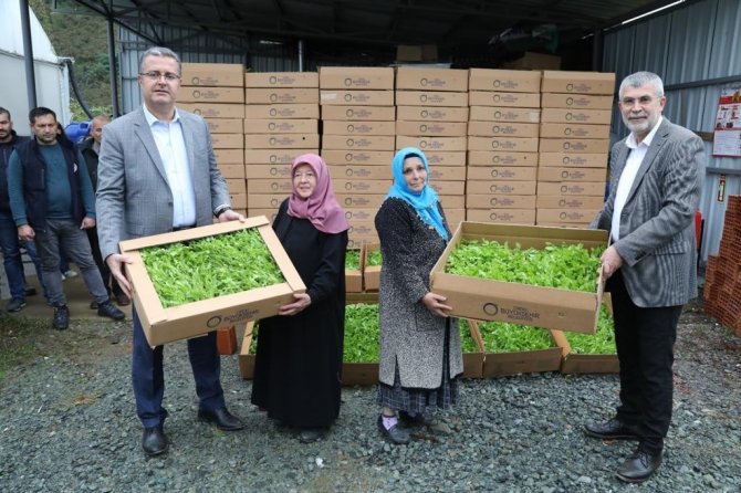 Ordu’da Üreticilere 350 Bin Fide Dağıtıldı