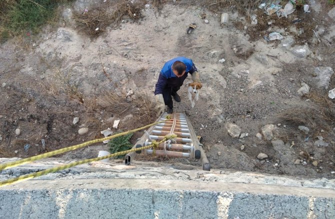 Sulama Kanalına Düşen Yavru Köpeği İtfaiye Kurtardı