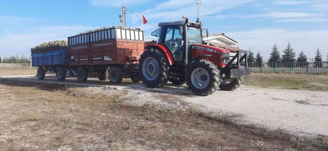 Seyitgazi Pancar Kantarı Alımlara Başladı