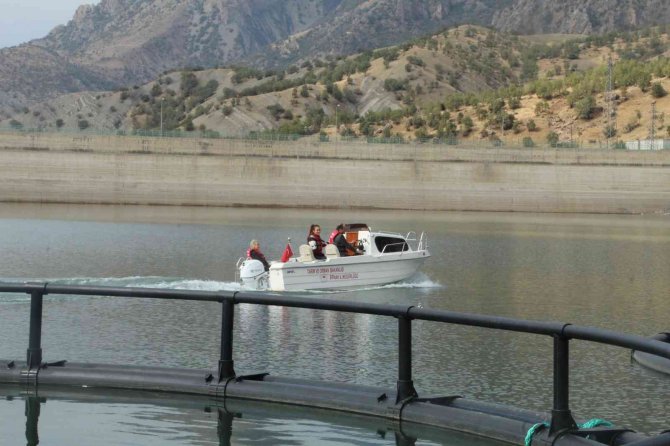 Şırnak’ta Kurulan Tesis İle Yılda 29 Ton Balık Üretilecek