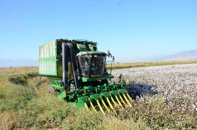 Denizli’de Beyaz Altın Hasadı Devam Ediyor