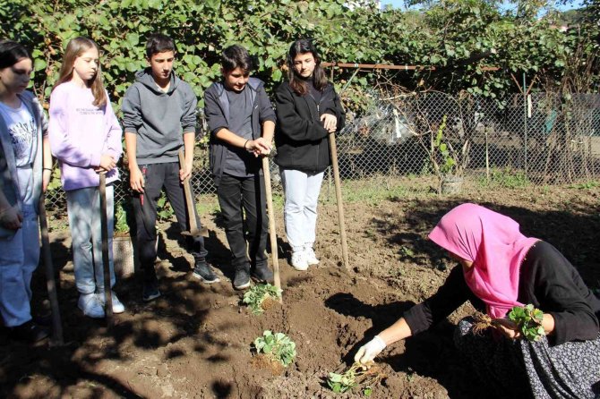 Üretimin Önemini Anlatmak İçin Öğrencilere Tarlada Uygulama Çilek Diktirildi