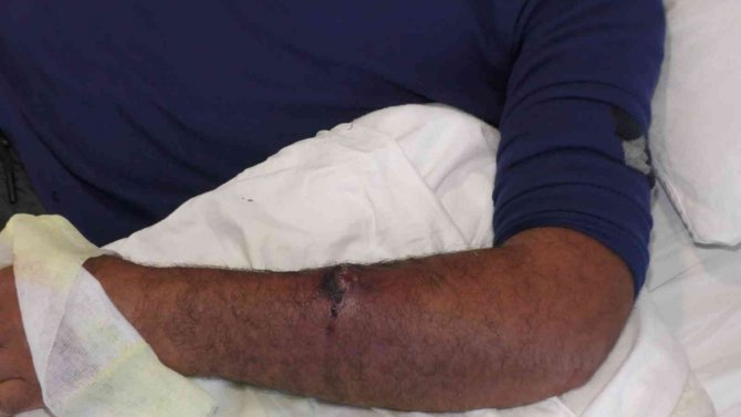 Aldığı Etten ’Şarbon’ Bulaştı, Kasap Dükkanı Mühürlendi